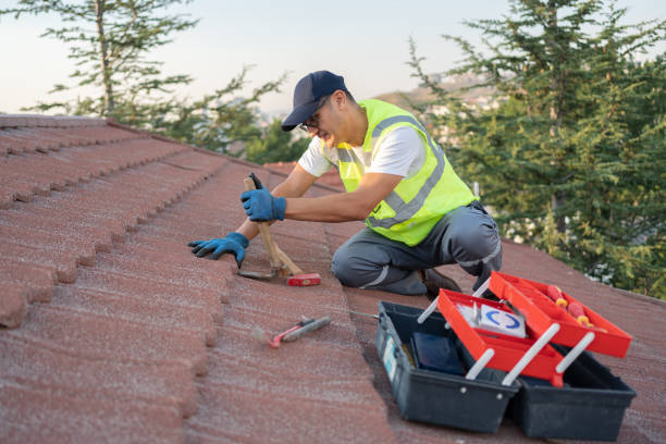 Best Storm Damage Roof Repair  in Taylor Creek, FL